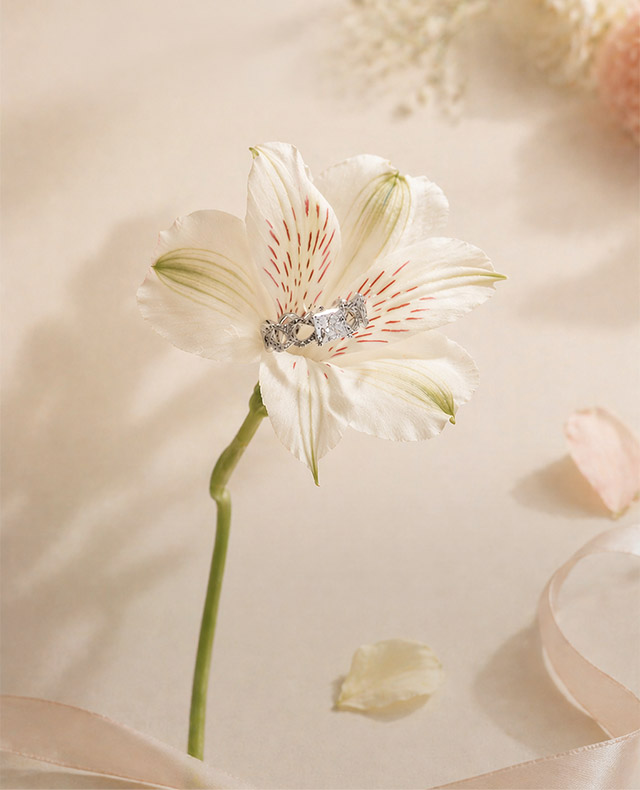 가정의달 (4.27 - 5.13)